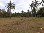 Land For Sale In Kurunegala