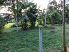 Land for sale in kurunegala