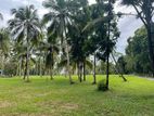 Land for Sale in Kurunegala