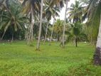 Land for Sale in Kurunegala