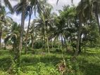 Land For Sale In Kurunegala