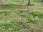 Land for Sale in Kurunegala