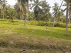 Land for Sale in Kurunegala