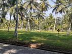 Land for Sale in Kurunegala