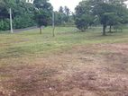 Land for Sale in Kurunegala