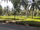 Land for Sale in Kurunegala