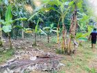 Land for Sale in Kurunegala