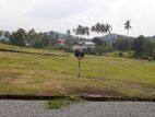 Land for Sale in Kurunegala