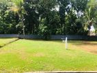 Land for Sale in Kurunegala