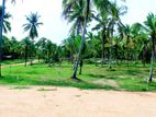 Land for Sale in Kurunegala