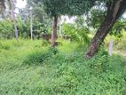 Land For Sale in Kurunegala