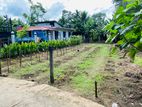 Land for Sale in Kurunegala