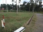 Land for Sale in Kurunegala