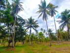 Land for Sale in Kurunegala