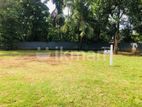 Land for Sale in Kurunegala