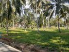 Land for Sale in Kurunegala