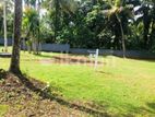 Land for Sale in Kurunegala