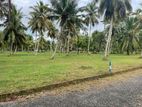 Land for Sale in Kurunegala