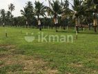 Land for Sale in Kurunegala