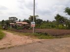 Land for sale in Kurunegala