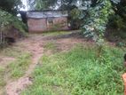 Land for Sale in Kurunegala