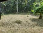 Land for Sale in Kurunegala