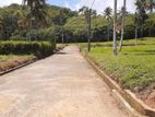 land for sale in kurunegala