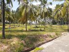 Land for Sale in Kurunegala