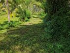 Land for Sale in Kurunegala