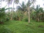 Land for Sale in Kurunegala