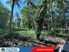 Land For Sale in Kurunegala