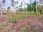 Land for Sale in Kurunegala