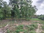 Land for Sale in Kurunegala