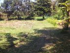 Land for Sale in Kurunegala