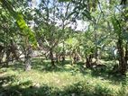 Land for Sale in Kurunegala