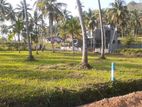 Land for Sale in Kurunegala