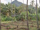 Land for Sale in Kurunegala