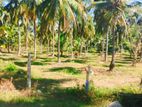 Land For Sale in Kurunegala
