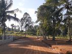 Land for Sale in Kurunegala