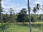 Land for Sale in Kurunegala