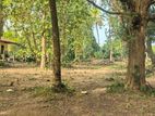 Land for Sale in Kurunegala