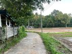 Land for Sale in Kurunegala