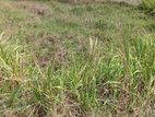 Land for Sale in Kurunegala