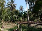 Land for Sale in Kurunegala