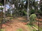 Land for Sale in Kurunegala