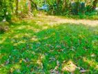 Land for Sale in Kurunegala