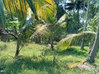 Land for sale in kurunegala