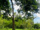 Land for Sale in Kurunegala