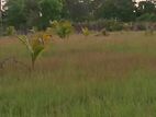 Land for Sale in Kurunegala