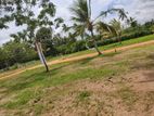 Land for Sale in Kurunegala